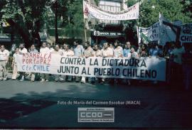 Manifestación de apoyo al pueblo chileno