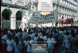 Manifestación de apoyo al pueblo chileno