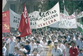 Manifestación de apoyo al pueblo chileno