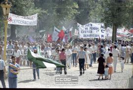 Manifestación de apoyo al pueblo chileno