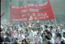 Manifestación de apoyo al pueblo chileno