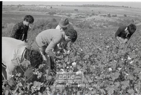 Ouvrir Document numérique originale