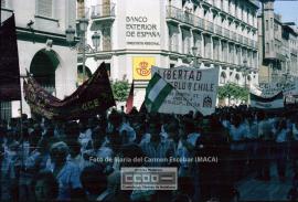 Manifestación de apoyo al pueblo chileno