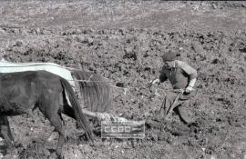 Trabajadores agrícolas en una plaza de Lora del Río – 01