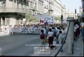 Manifestación de apoyo al pueblo chileno