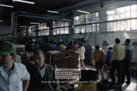 Movilización en TEPESA por despidos de trabajadoras