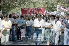 Manifestación de apoyo al pueblo chileno