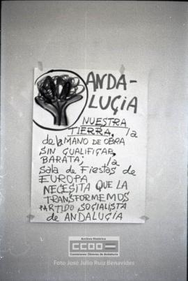 Acciones de los alumnos de la Universidad de Sevilla durante la huelga general de la COS – 09
