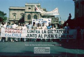 Manifestación de apoyo al pueblo chileno