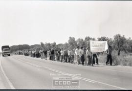 Manifestación pidiendo trabajo – Foto 3