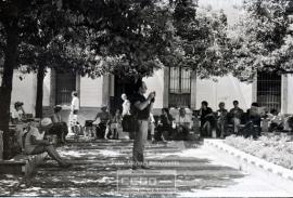 Imágenes de Sevilla – Foto 20