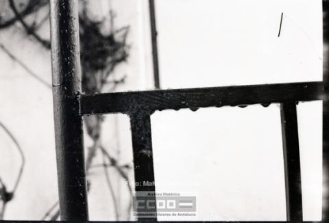 Open original Objecte digital