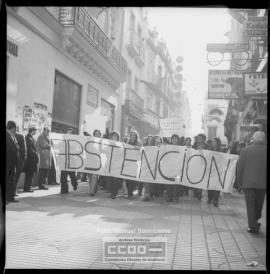 Referéndum Reforma Política: manifestación pro Abstención – Foto 7