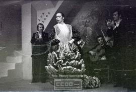 Espectaculo flamenco – Foto 12