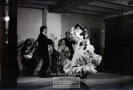 Espectaculo flamenco – Foto 25