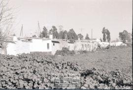 Asentamiento chabolista y casas en barracones – Foto 15