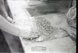 Fabricación de peinas – Foto 27