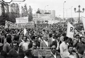 Manifestación remolacheros – Foto 31