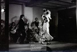 Espectaculo flamenco – Foto 26