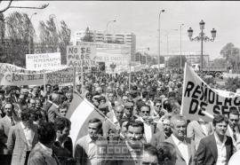 Manifestación remolacheros – Foto 32