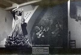 Espectaculo flamenco – Foto 32