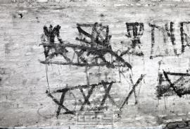 Pintadas – Foto 7