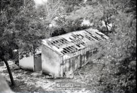 Lugares de Sevilla – Foto 3