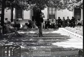 Imágenes de Sevilla – Foto 21