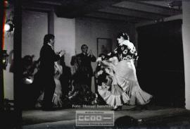 Espectaculo flamenco – Foto 27