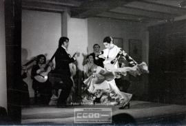 Espectaculo flamenco – Foto 24