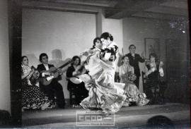 Espectaculo flamenco – Foto 23