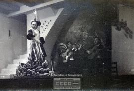 Espectaculo flamenco – Foto 31