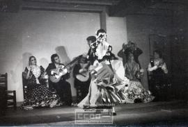Espectaculo flamenco – Foto 21
