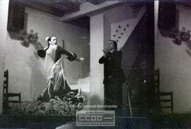 Espectaculo flamenco – Foto 15