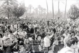 Entrega de banderas de Andalucía de los ayuntamientos (2) – Foto 38