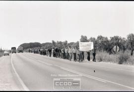 Manifestación pidiendo trabajo – Foto 2