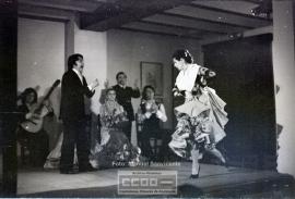 Espectaculo flamenco – Foto 7